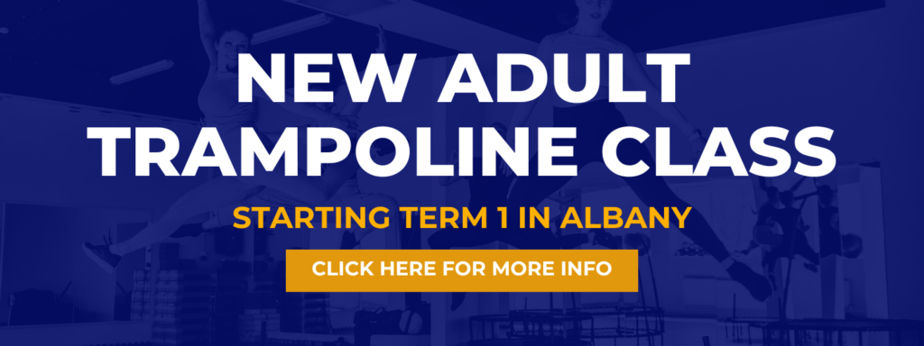 Adult trampoline classes